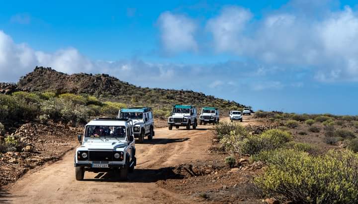 Explora el interior y el campo con un Jeep Safari