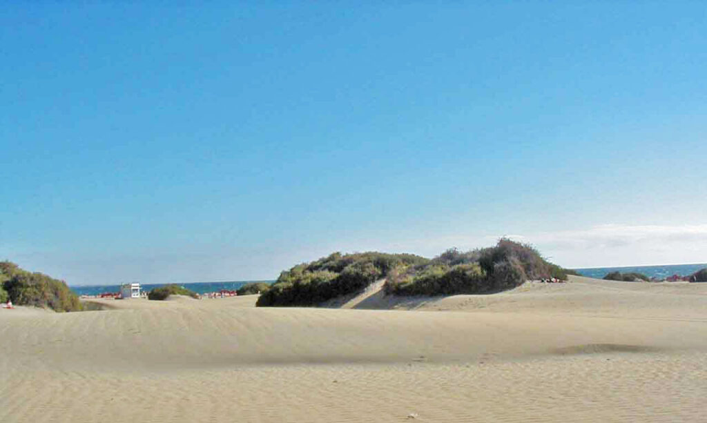 De duinen tussen Playa del Inglés en Maspalomas
Foto Verschueren Eddy